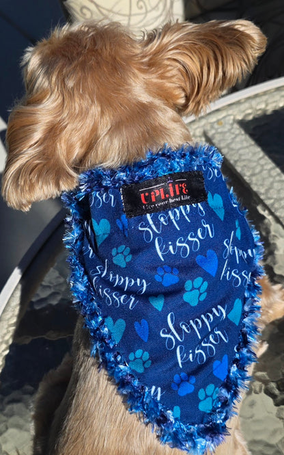 Dog wearing the Sloppy Kisser Dog Bandana, back view showing script and sewn-in UPLIFE label