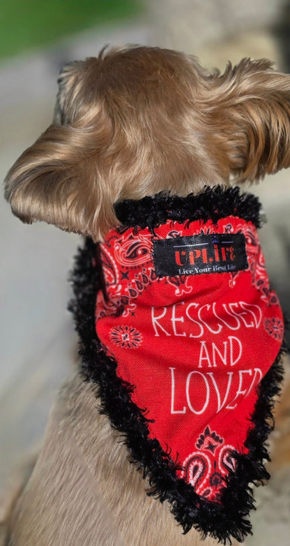 Dog wearing the Rescued and Loved Dog Bandana, back view showing lettering and sewn-in UPLIFE label