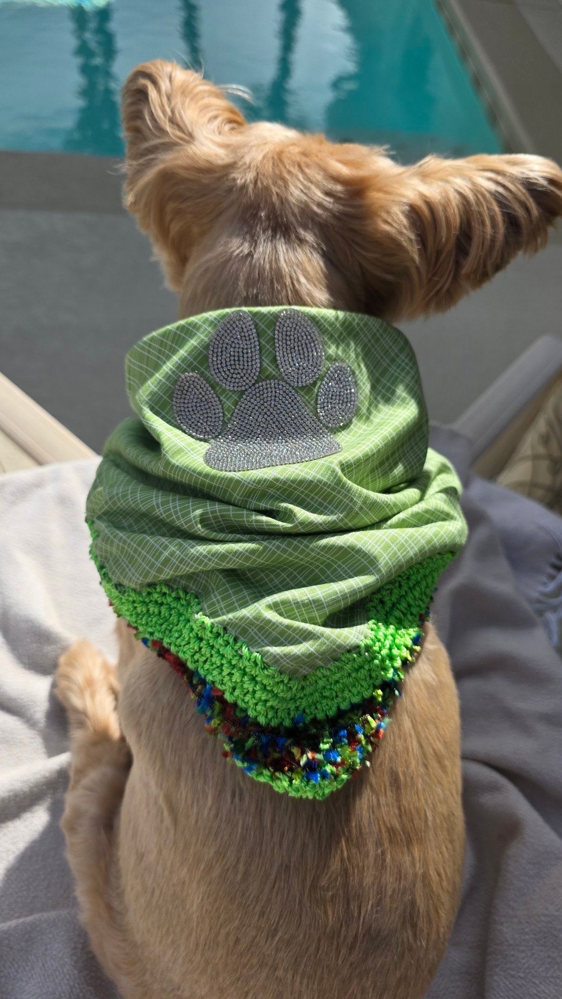 Royal Bandana for Dogs — Handmade Crochet Wearable Art