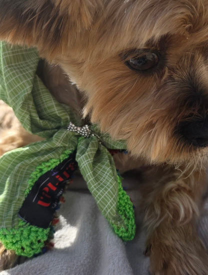 Royal Bandana for Dogs — Handmade Crochet Wearable Art