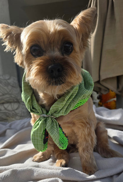 Royal Bandana for Dogs — Handmade Crochet Wearable Art