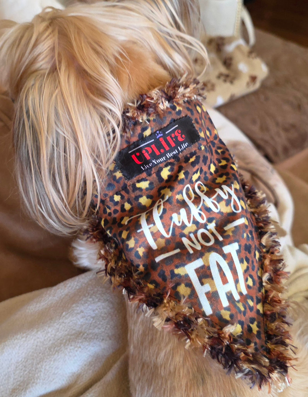 Dog wearing the Fluffy NOT FAT Dog Bandana, back view showing sewn-in UPLIFE label