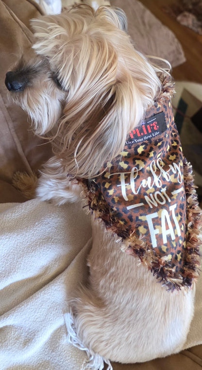 Dog wearing the Fluffy NOT FAT Dog Bandana, side view